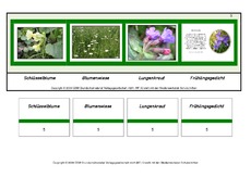 Setzleiste-zusammengesetzte-Frühlingswörter 5.pdf